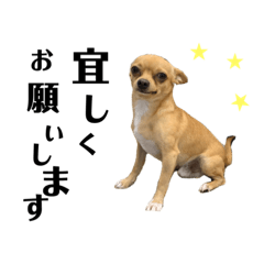 [LINEスタンプ] いつもげんきありがとう