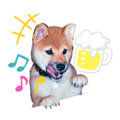 [LINEスタンプ] ごんちゃん（芝犬）