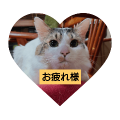 [LINEスタンプ] お疲れ様ですね
