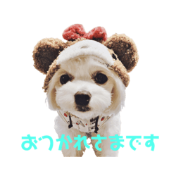 [LINEスタンプ] ひびき＆エソラ(443)