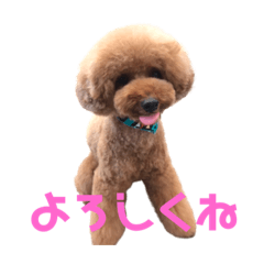 [LINEスタンプ] レオン(444)