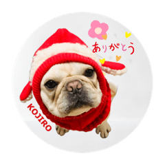[LINEスタンプ] フレブル小次郎でし②