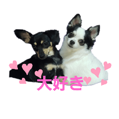 [LINEスタンプ] モモ＆くぅーさん