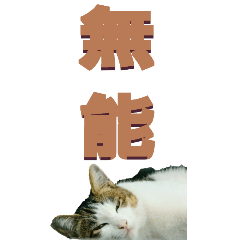 [LINEスタンプ] 漢字二文字(仕事用)を野生猫からーBIG