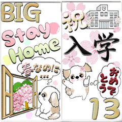 [LINEスタンプ] 【Big】シーズー犬13『春』