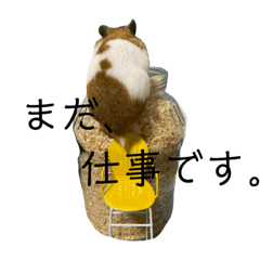 [LINEスタンプ] びーとるの日常4
