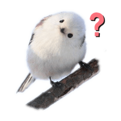 [LINEスタンプ] シマエナガなの