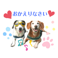 [LINEスタンプ] ホムワト4
