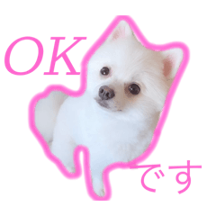 [LINEスタンプ] かぁいいイヌ2
