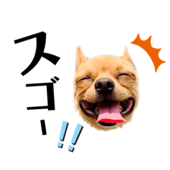 [LINEスタンプ] いつもげんきにがんばれ