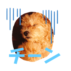 [LINEスタンプ] むぎ(448)