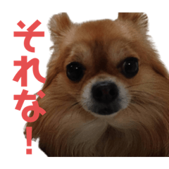 [LINEスタンプ] チョコ(450)