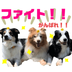 [LINEスタンプ] Tiarius②