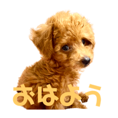 [LINEスタンプ] ティナ(452)