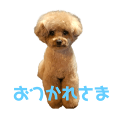 [LINEスタンプ] レオ(453)