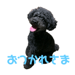 [LINEスタンプ] ノア(455)