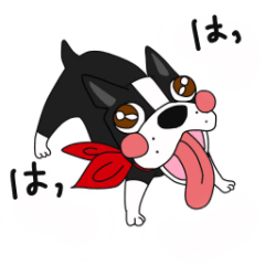 [LINEスタンプ] 0か100か、みたいな犬