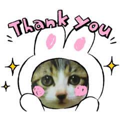 [LINEスタンプ] 牛柄猫ここのスタンプ
