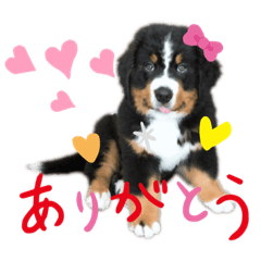 [LINEスタンプ] バリーNo.1