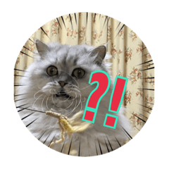 [LINEスタンプ] mr. mint 2