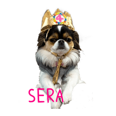 [LINEスタンプ] 無敵わんちゃんSERA