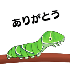 [LINEスタンプ] かわいい芋虫スタンプの画像（メイン）