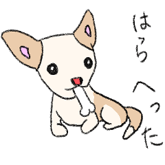 [LINEスタンプ] チロリさん