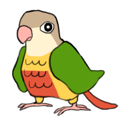 [LINEスタンプ] ウロコインコのくーの画像（メイン）