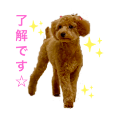 [LINEスタンプ] カトりんの日常♪①