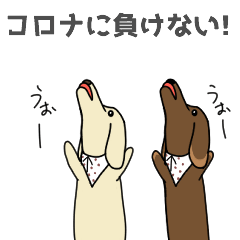 [LINEスタンプ] ミニチュアダックスのベルとラウール2