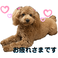 [LINEスタンプ] カトりんの日常♪③