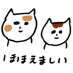 [LINEスタンプ] こねこのアイツ2