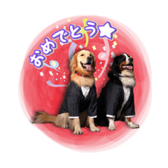 [LINEスタンプ] ロビンモーターzoo