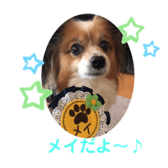 [LINEスタンプ] かわいいメイくん♪