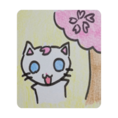 [LINEスタンプ] 白猫黒猫の春