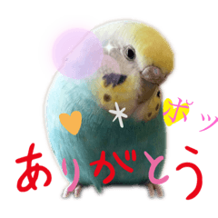 [LINEスタンプ] のんNo.1