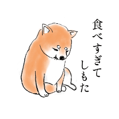 [LINEスタンプ] わたしの柴わんこの画像（メイン）