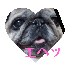 [LINEスタンプ] 花 音 のスタンプ