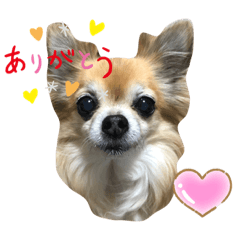 [LINEスタンプ] りくりくマン