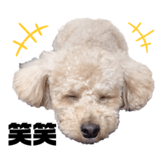 [LINEスタンプ] ころもの日常④