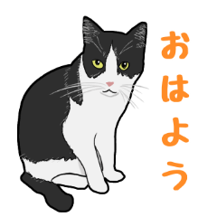 [LINEスタンプ] 遠藤家のネコたち