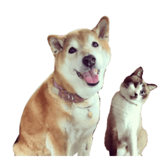 [LINEスタンプ] 凛くんめめたん