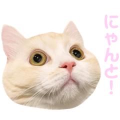[LINEスタンプ] mugi stamp ②