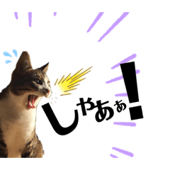 [LINEスタンプ] 鍵しっぽ♪