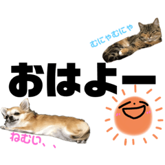 [LINEスタンプ] こももとばんびスタンプ
