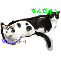 [LINEスタンプ] はっちとぶっち