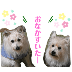 [LINEスタンプ] パピポの楽しい暮らし！