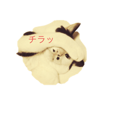 [LINEスタンプ] ギュウトラグレコの毎日