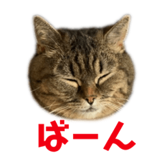 [LINEスタンプ] ネイ丸のスタンプ2