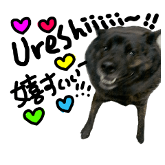 [LINEスタンプ] For Japanese Speakers (dog)